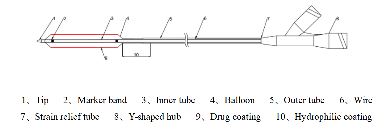 EF-SiroNova™ Drug Eluting Balloon Dilatation Catheter _Easy-Flow Medtech
